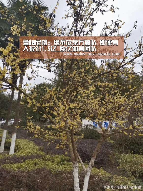 欧亿体育官网