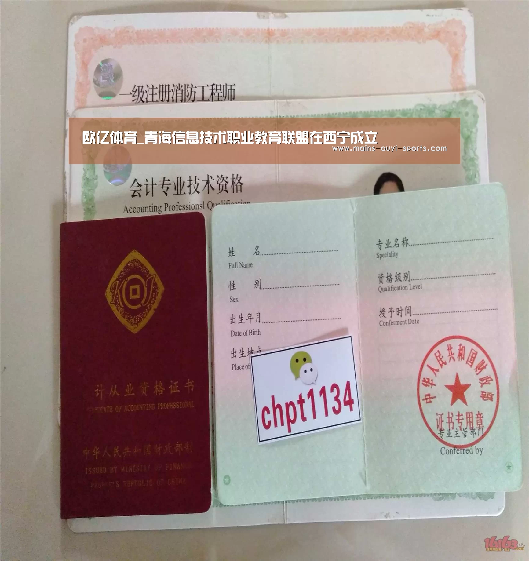 欧亿体育_青海信息技术职业教育联盟在西宁成立(图1) 欧亿体育