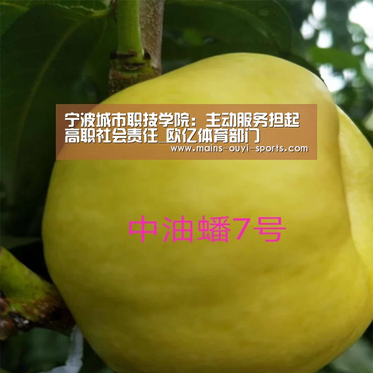 欧亿体育公司