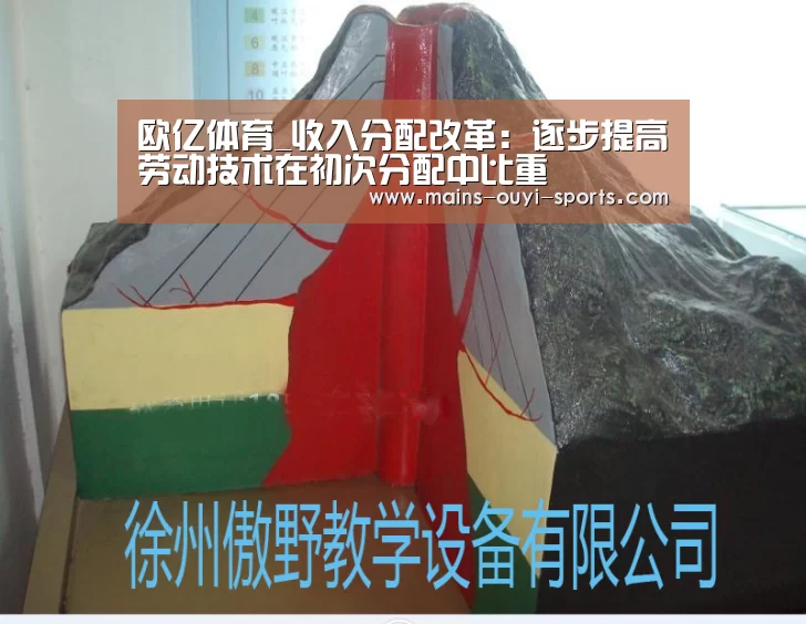 欧亿体育官网