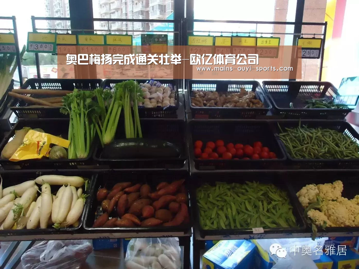 欧亿体育公司