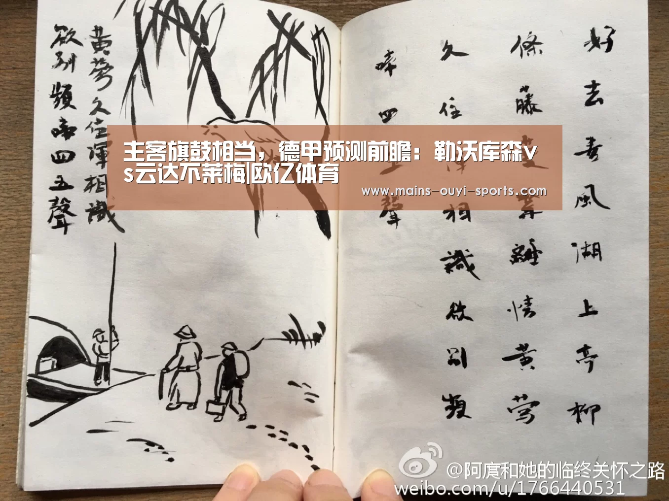 主客旗鼓相当,德甲预测前瞻:勒沃库森vs云达不莱梅|欧亿体育(图1) 欧亿体育公司